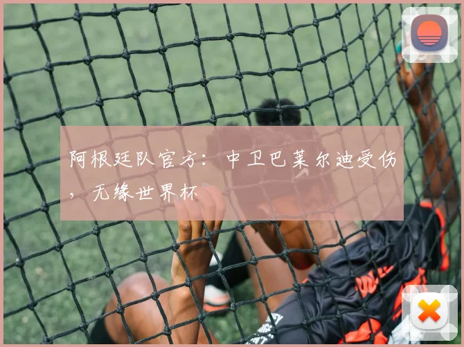 阿根廷队官方：中卫巴莱尔迪受伤，无缘世界杯